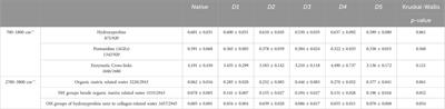 Collagen molecular organization preservation in human fascia lata and periosteum after tissue engineering